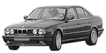 BMW E34 P020D Fault Code