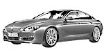 BMW F06 P020D Fault Code
